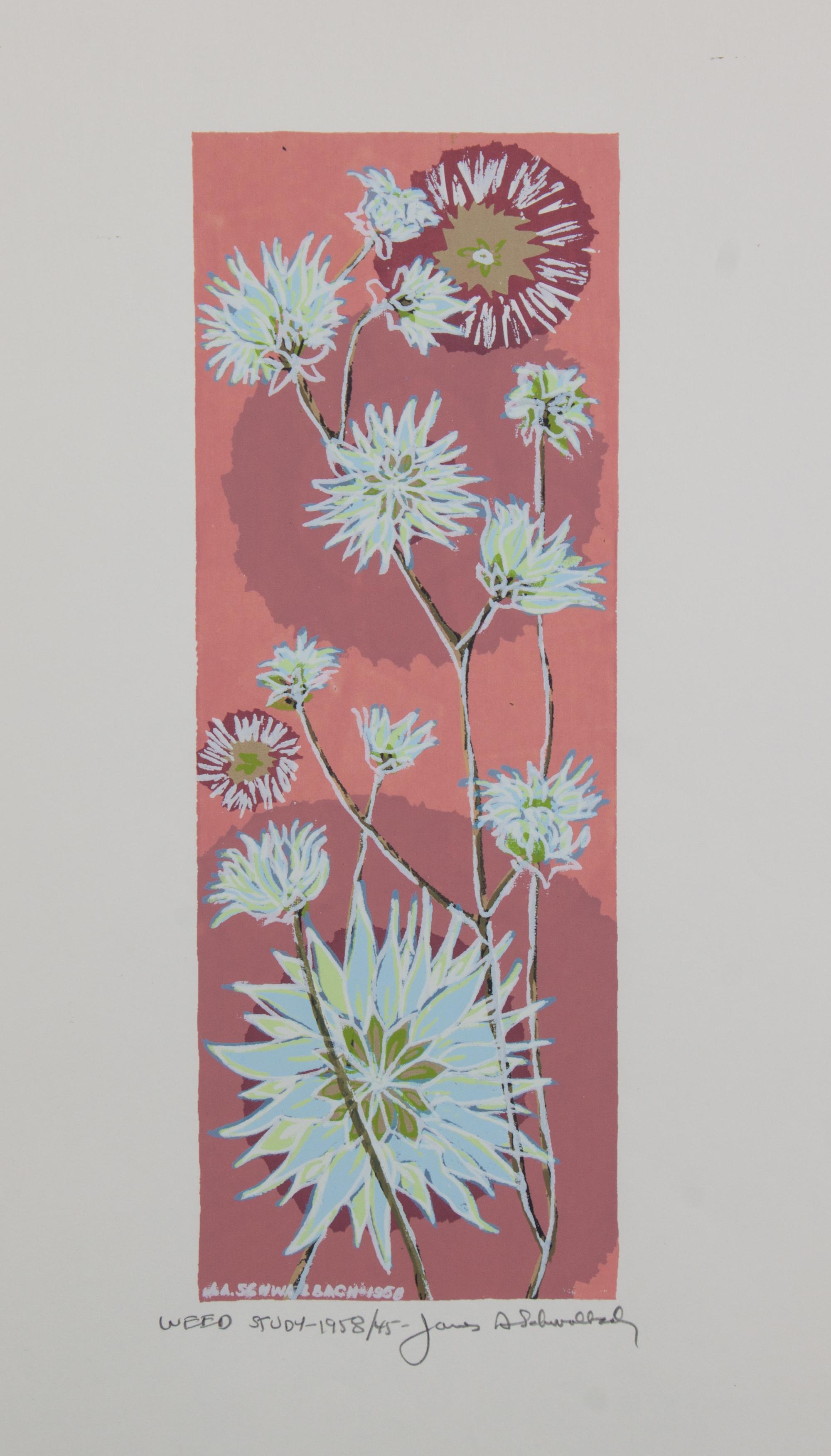 James Schwalbach, (Wisconsin, b. 1912), Weed Study, 1958 (a suite of twelve works)
