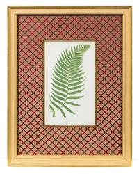 A Group of Four Botanical Prints Each 9 1/4 x 5 3/8 inches (visible).