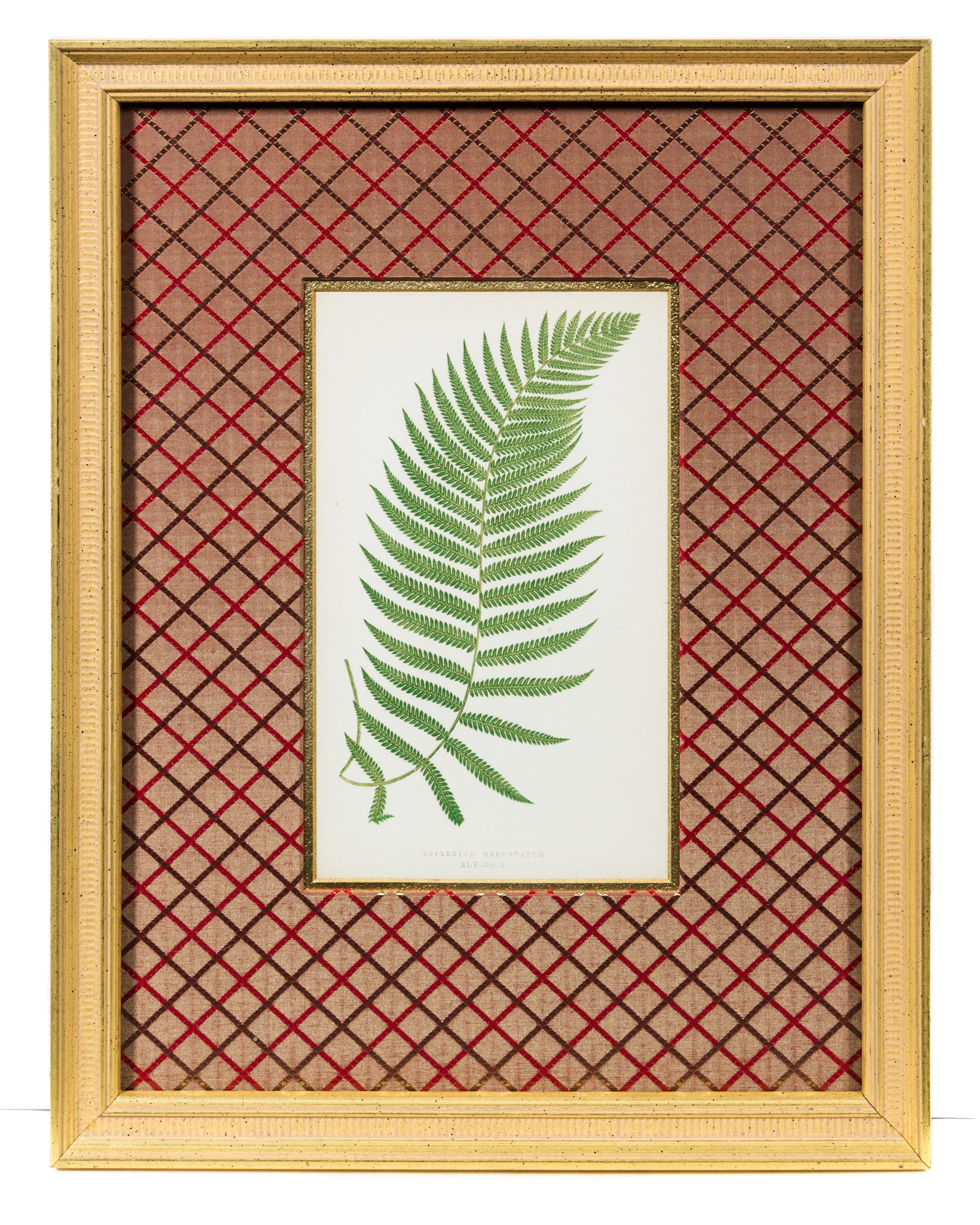 A Group of Four Botanical Prints Each 9 1/4 x 5 3/8 inches (visible).
