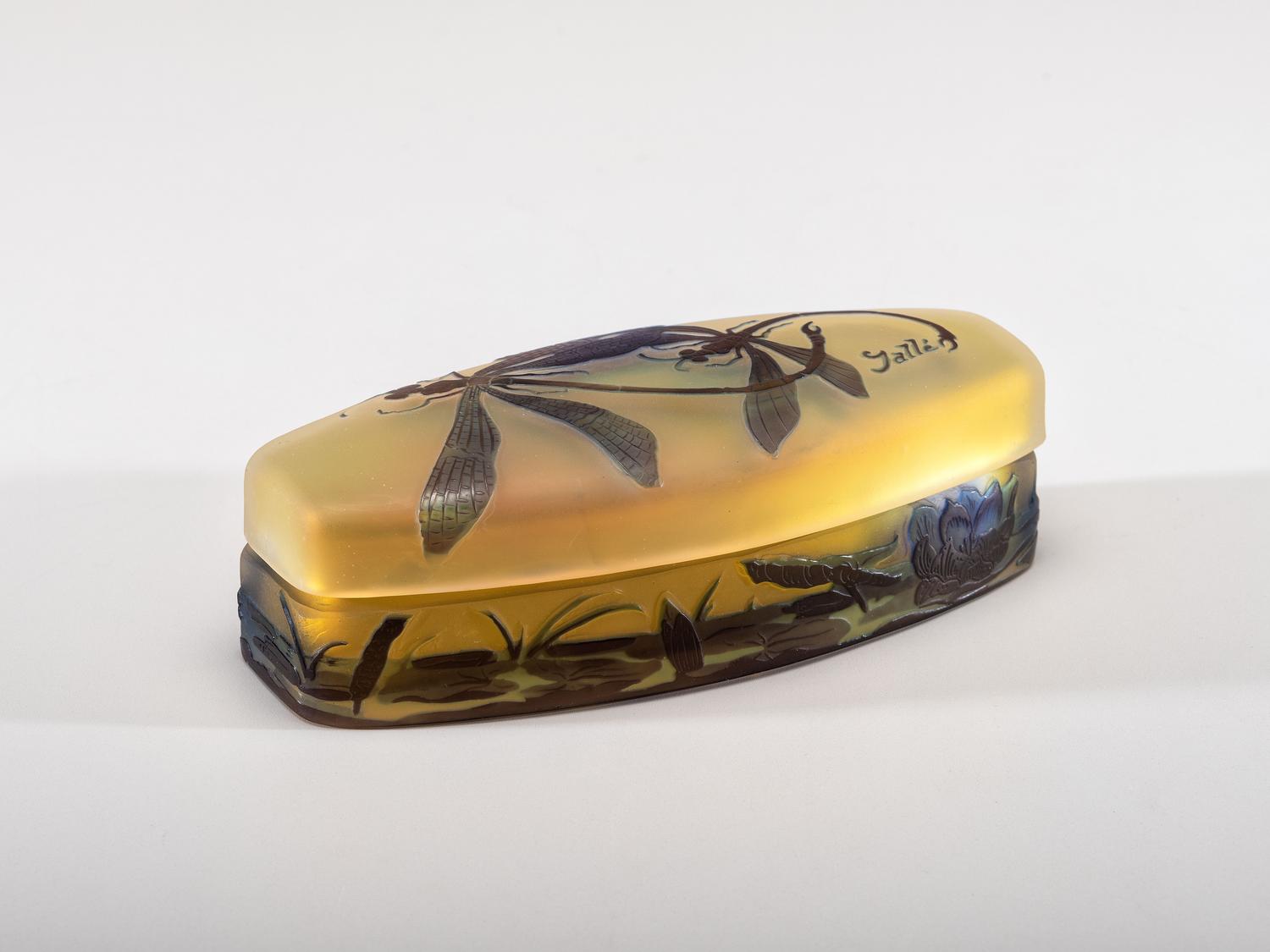 Dragonfly Box