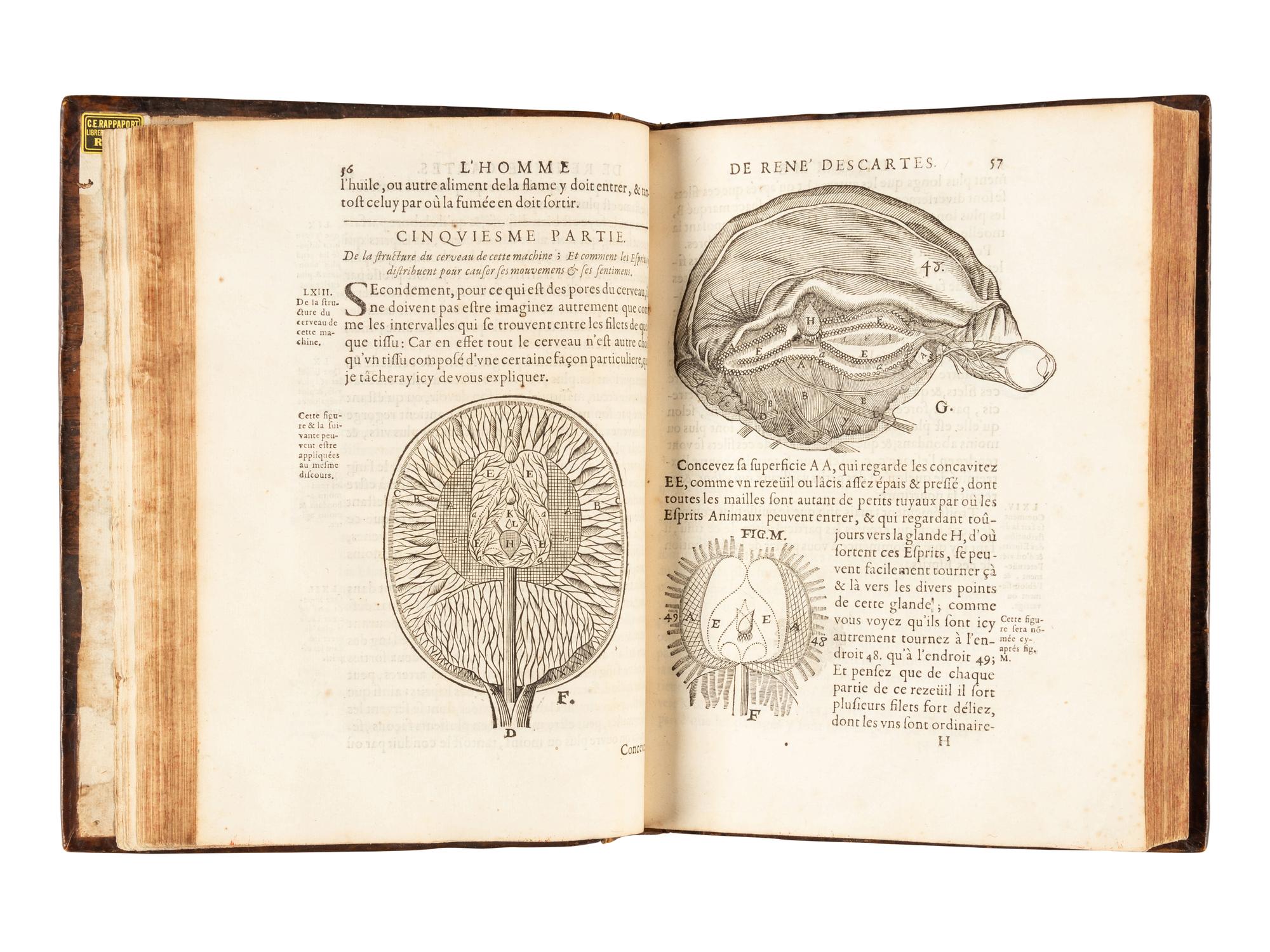 DESCARTES, René (1596-1650). L'Homme et la Formation du Foetus . Paris: Charles Angot, 1677.