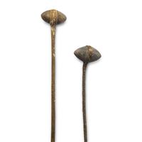 Plains Stone Clubs