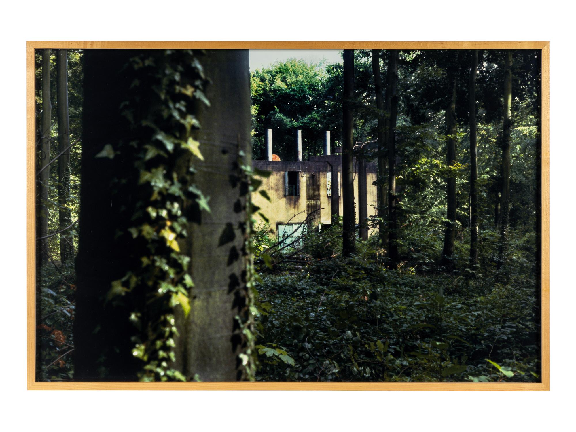 Peter Doig (born 1959) Selected images from the series "As Yet Untitled," 2000