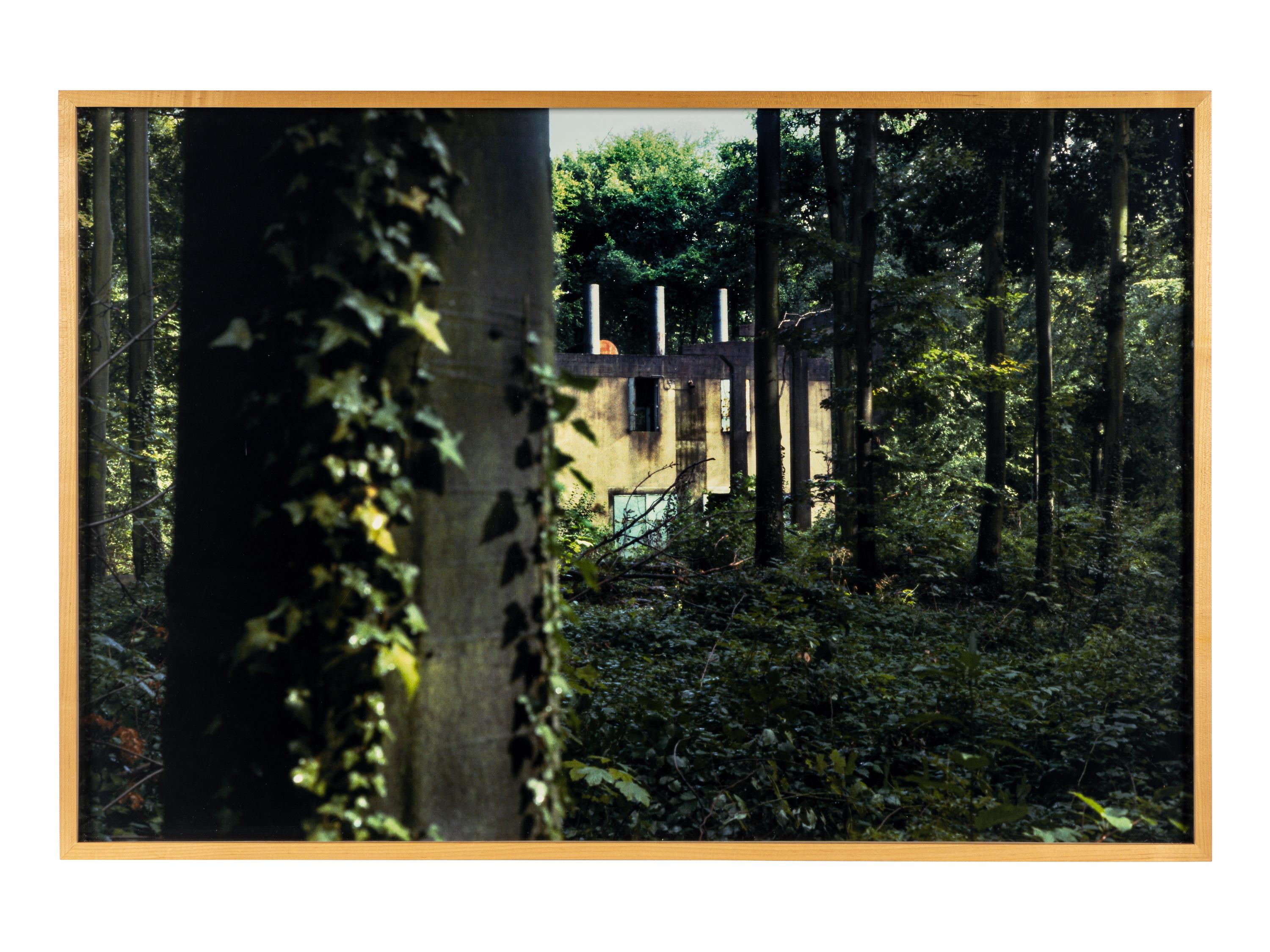 Peter Doig (born 1959) Selected images from the series "As Yet Untitled," 2000