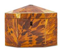 A Regency Tortoiseshell Tea Caddy