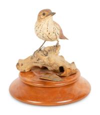 Hermit Thrush