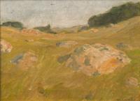 Naushon Pasture