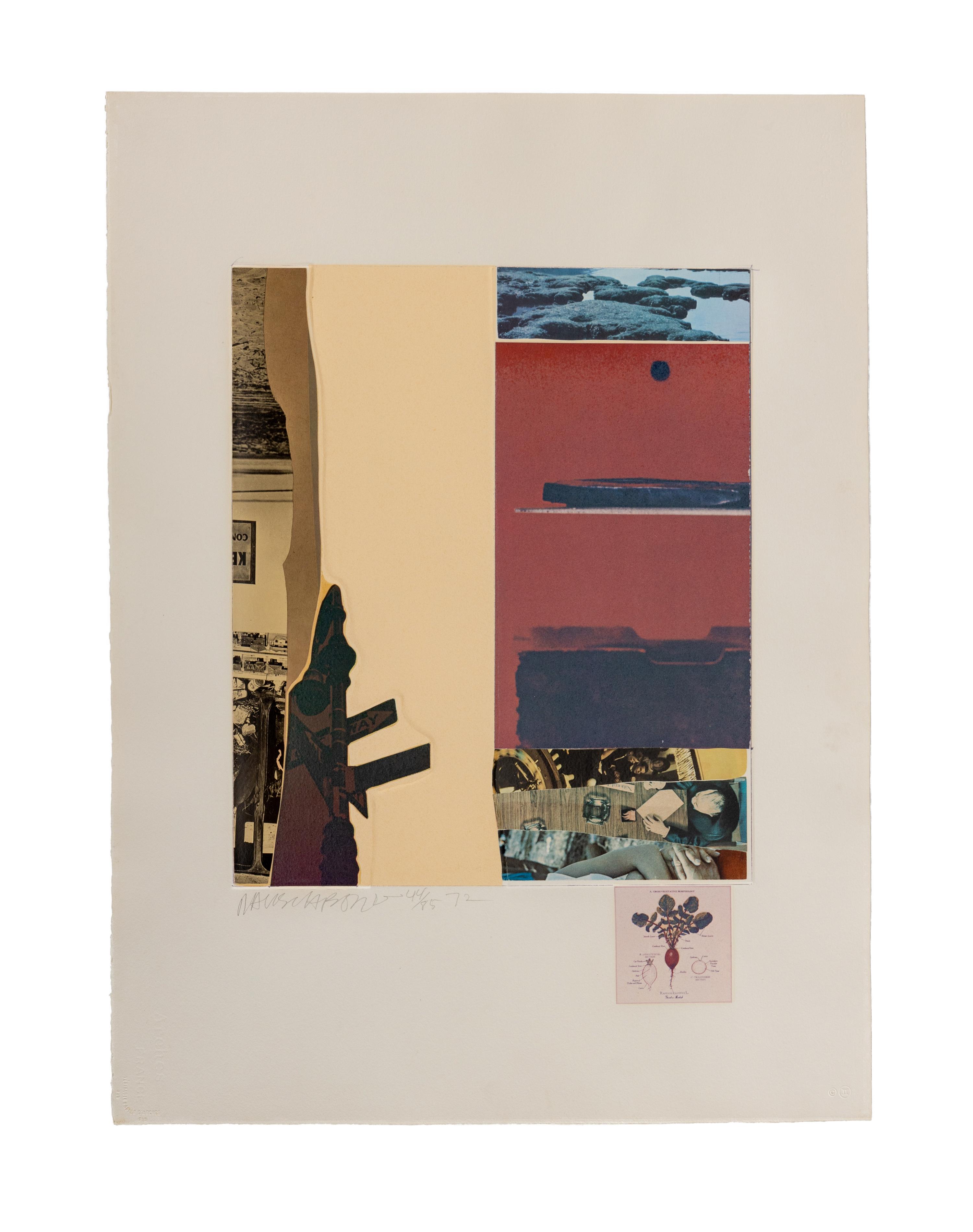 XI (from Horsefeathers Thirteen ), 1972