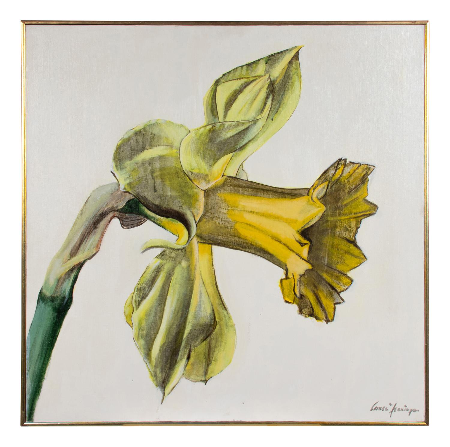 Daffodil