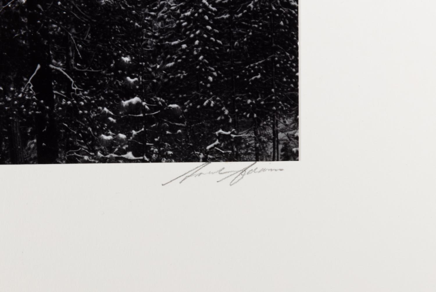 Ansel Adams (1902-1984) Clearing Winter Storm, Yosemite National Park, c. 1937