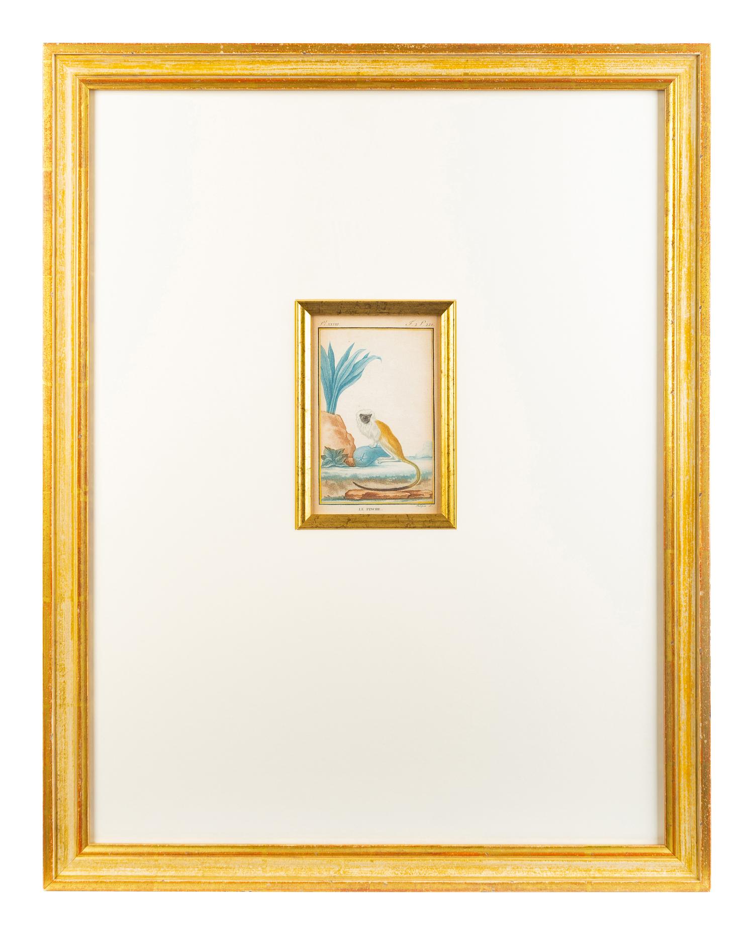 Two Hand-Colored Engravings After Jacques de Seve — EARLY 19TH CENTURY