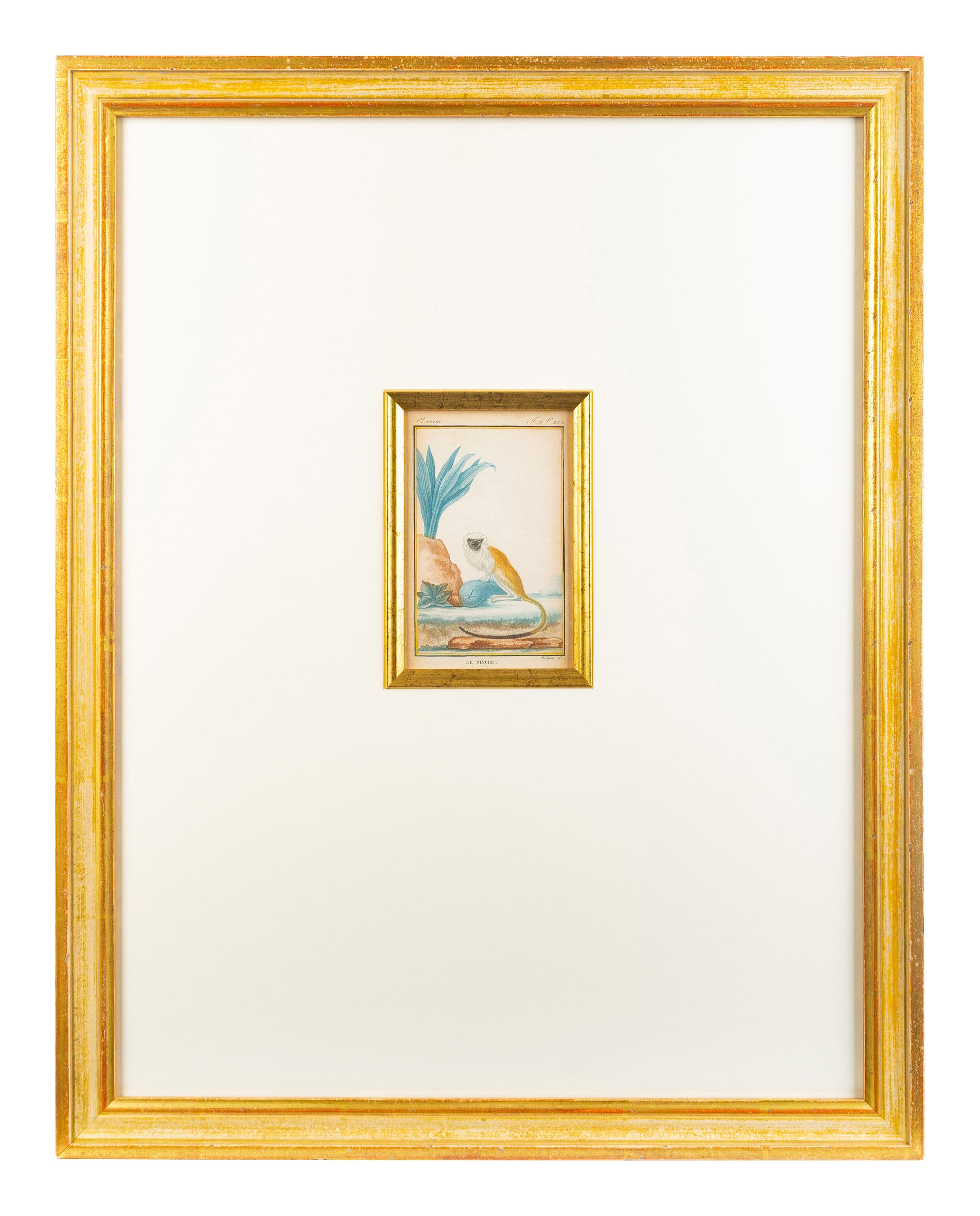 Two Hand-Colored Engravings After Jacques de Seve — EARLY 19TH CENTURY
