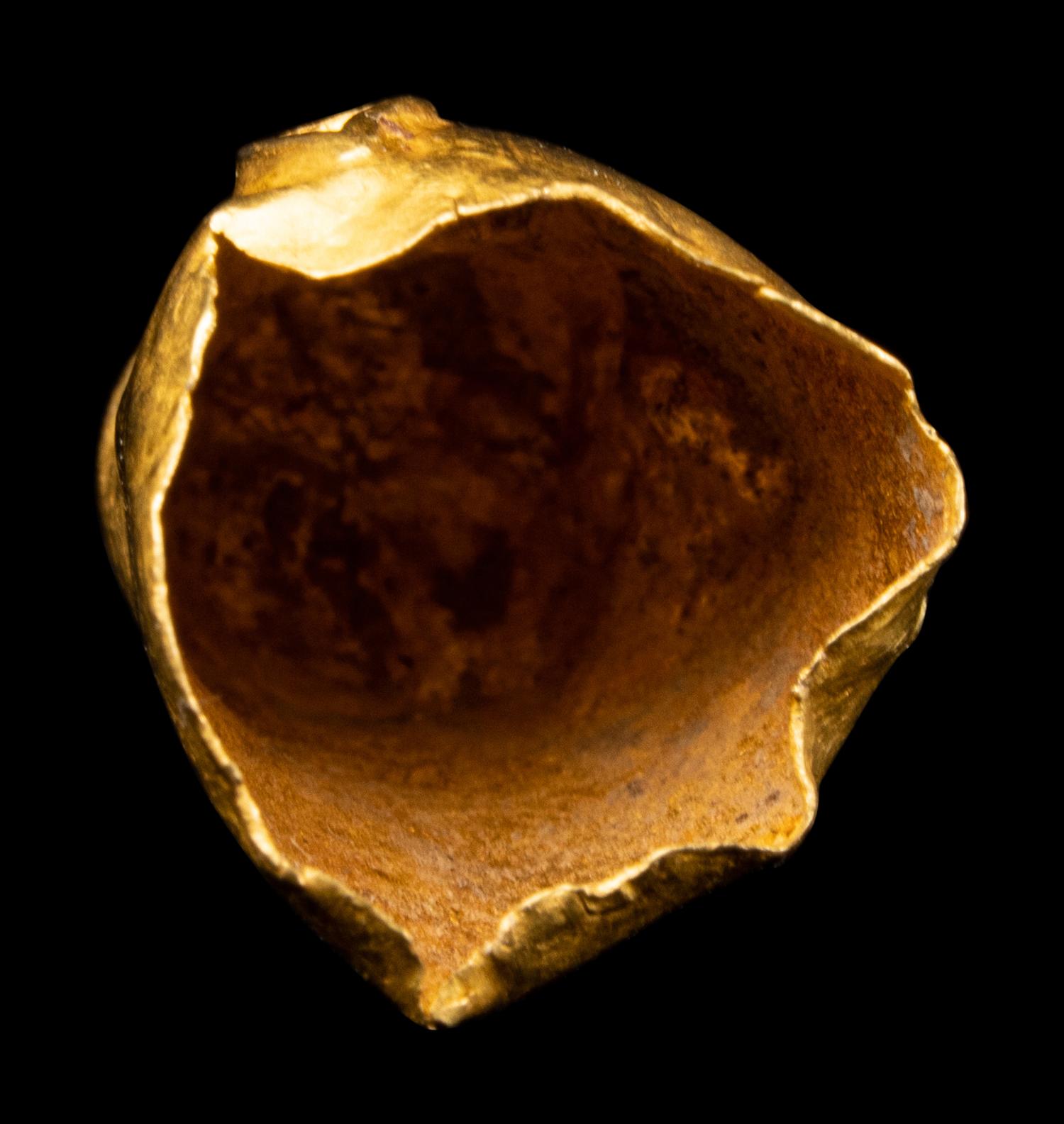 An Achaemenid Hollow Gold Head of Lion