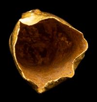An Achaemenid Hollow Gold Head of Lion