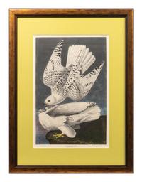 Thirteen Birds of America Prints and an Arthur Singer print of Woodpeckers, Honeyguides and Barbets