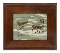 Little Brown Beach Birds , 2011