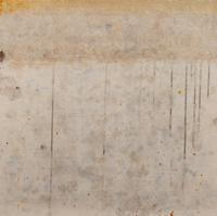 Pavement Evidence-Existence #1 (diptych), 2001, and Genetic Gem VII, 2002