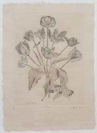 Three Botanical Engraving Reproductions Height 23 1/2 x width 16 1/2 inches. — 20TH CENTURY