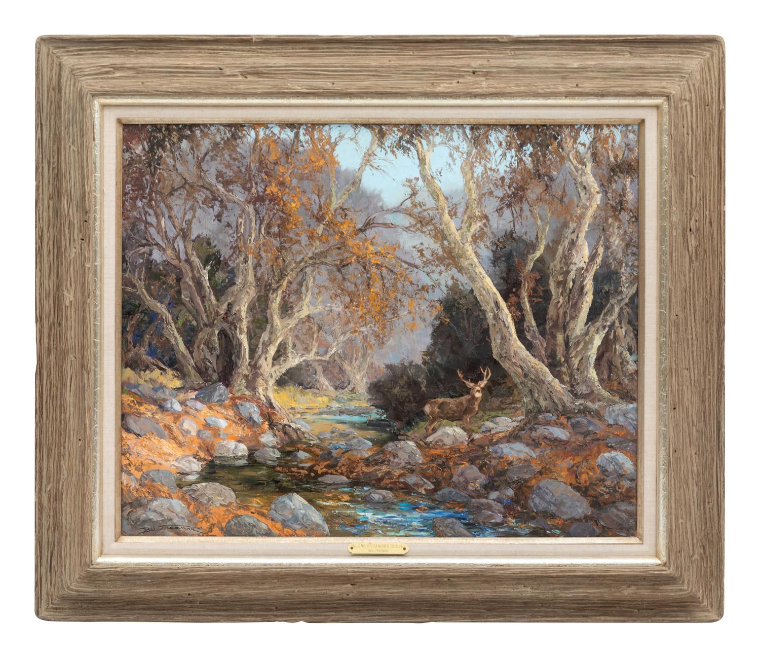 Mule Deer Along Sycamore Creek