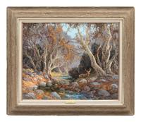 Mule Deer Along Sycamore Creek