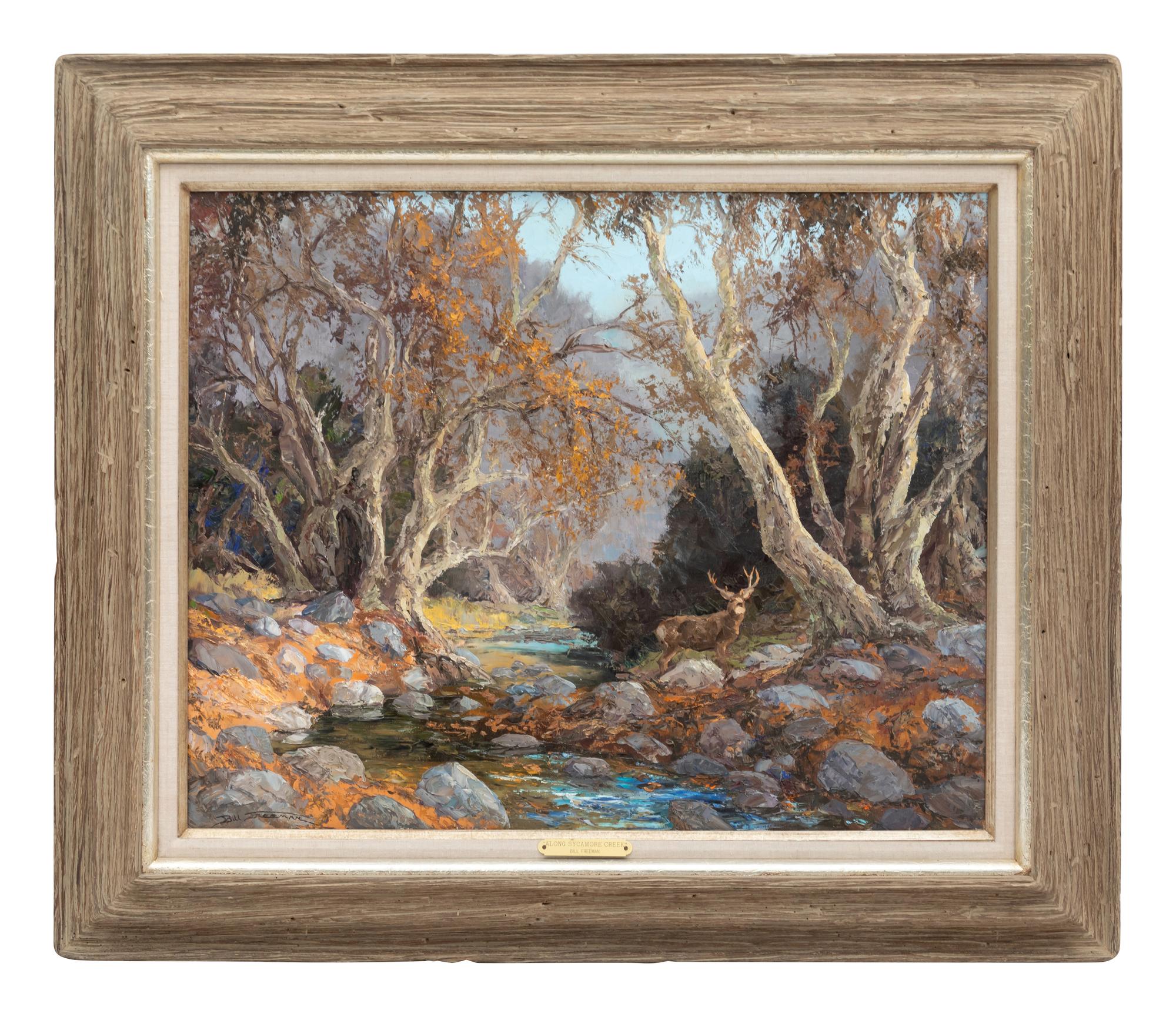 Mule Deer Along Sycamore Creek