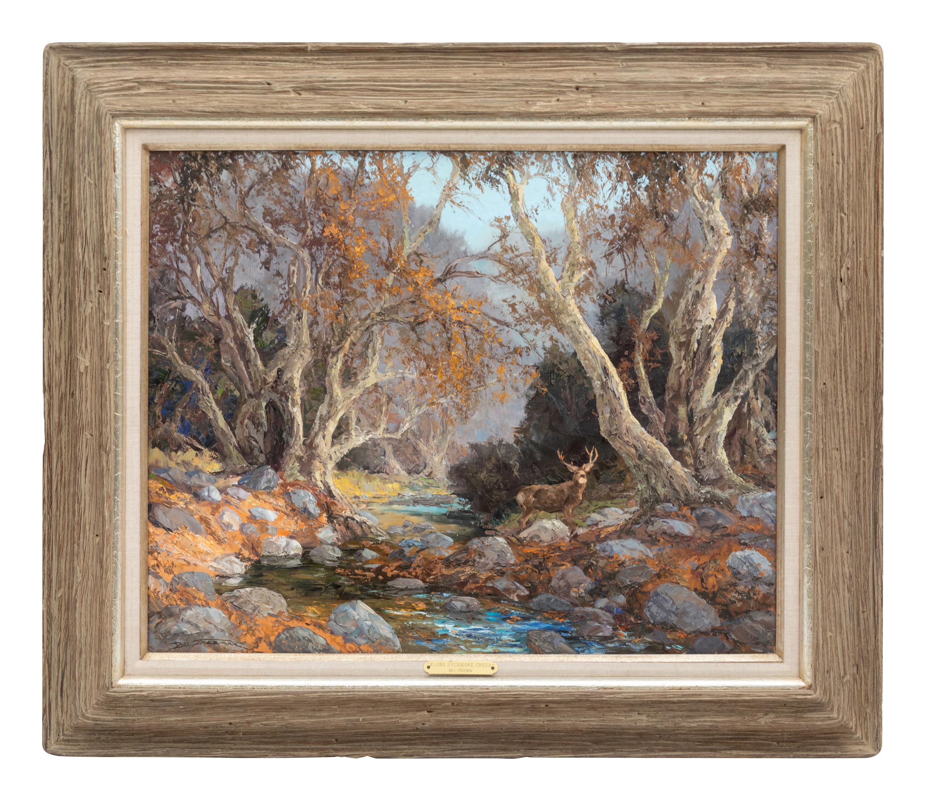 Mule Deer Along Sycamore Creek