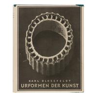 [Photography] Blossfeldt, Karl. Urformen der Kunst [ Art Forms in Nature ]