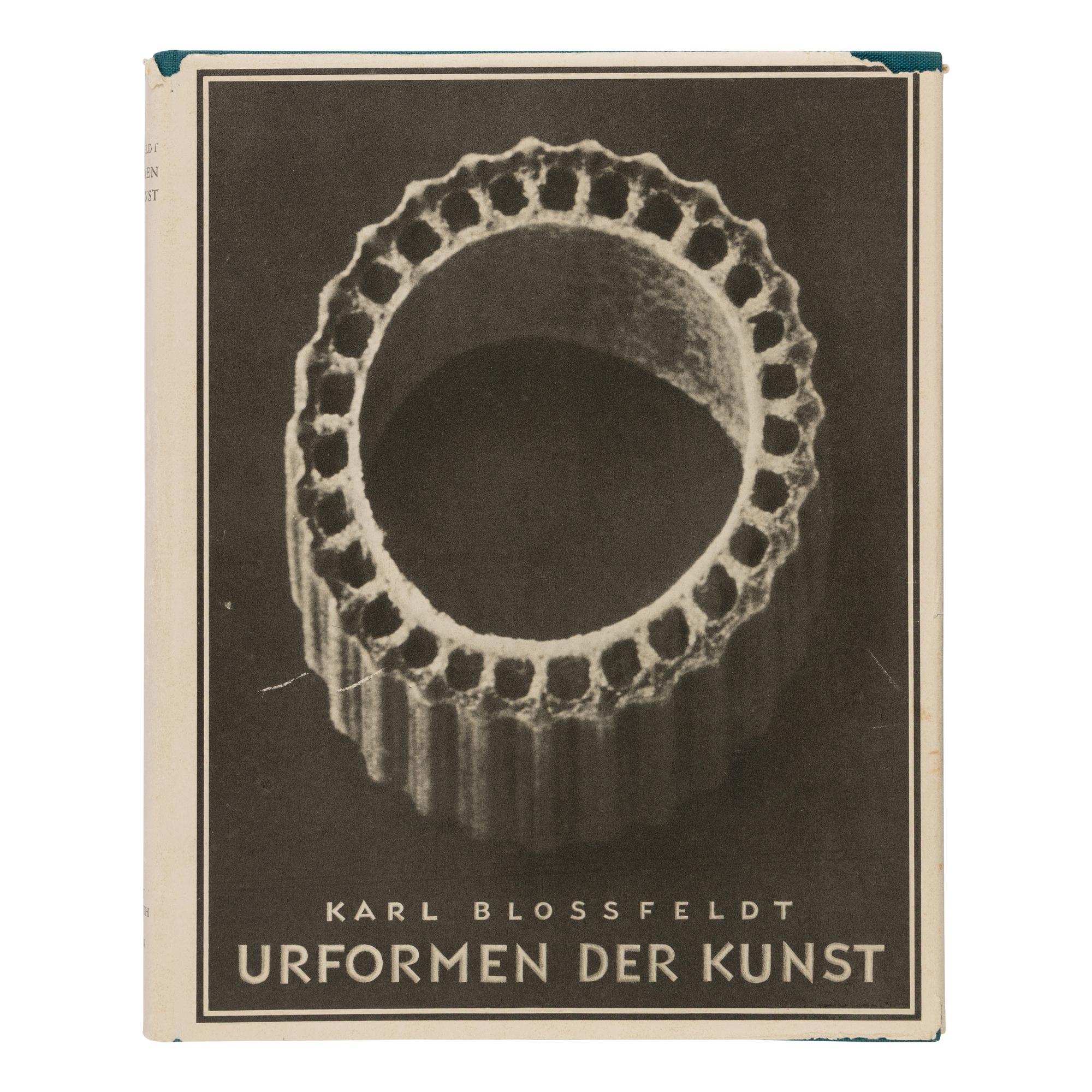 [Photography] Blossfeldt, Karl. Urformen der Kunst [ Art Forms in Nature ]