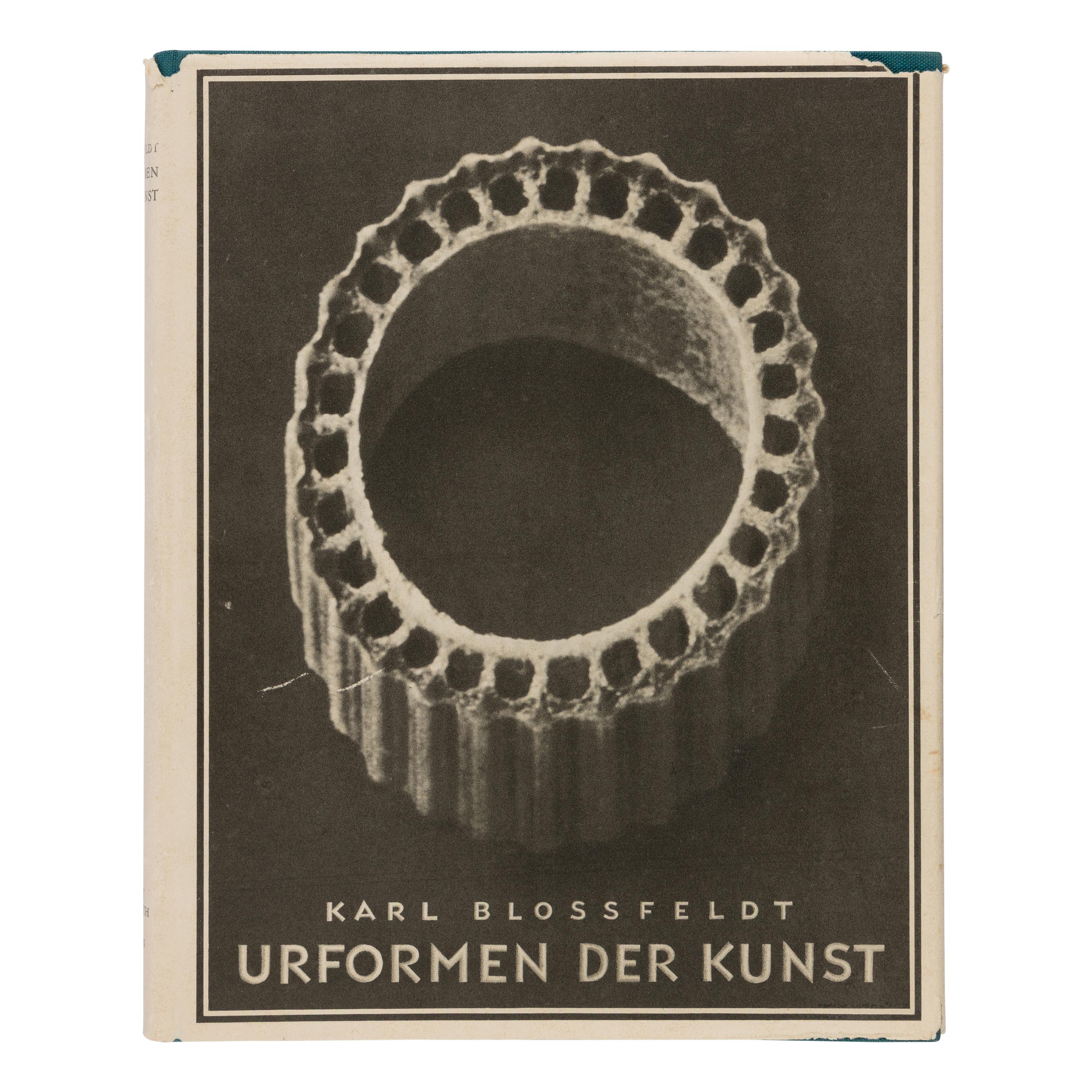 [Photography] Blossfeldt, Karl. Urformen der Kunst [ Art Forms in Nature ]