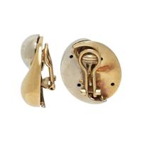 BICOLOR GOLD EARRINGS