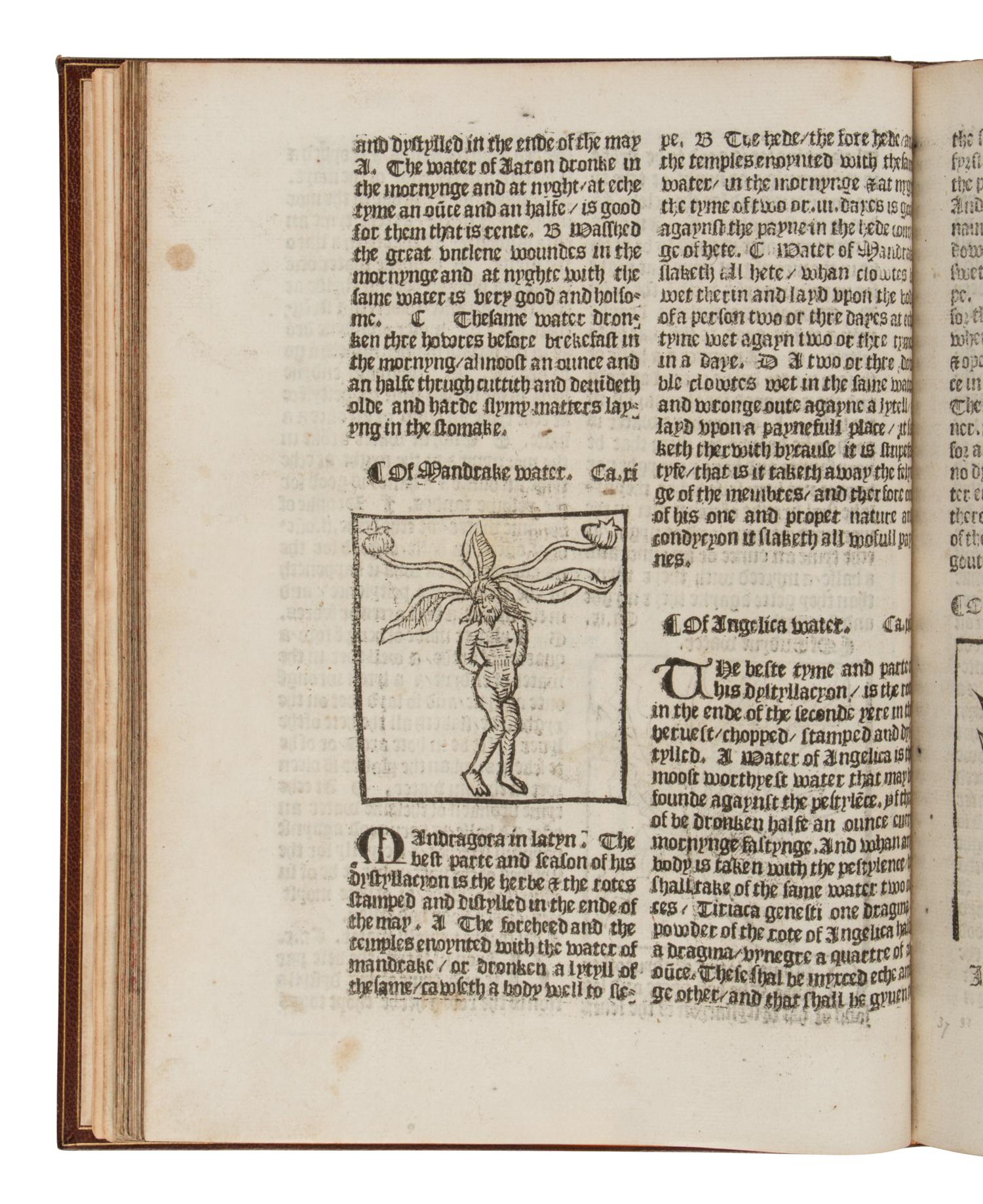 [SCIENCE & TECHNOLOGY]. BRUNSCHWIG, Hieronymus (1450-1512). The Vertuose Boke of Distyllacyon of the Waters of all Maner of Herbes, with the fygures of the Styllatoryes... London: Laurence Andrew, 18 April 1527.