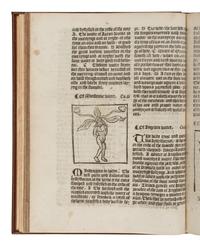 [SCIENCE & TECHNOLOGY]. BRUNSCHWIG, Hieronymus (1450-1512). The Vertuose Boke of Distyllacyon of the Waters of all Maner of Herbes, with the fygures of the Styllatoryes... London: Laurence Andrew, 18 April 1527.