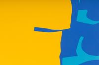 Blues Dovetailed in Yellow , 1970