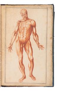 [SCIENCE & MEDICINE -MANUSCRIPT]. [After TORTEBAT, Francois (c 1616-1690), illustrator. -- PILES, Roger de (1635-1709)]. "Abrege d'Anatomie Accommode aux Arts de Peinture et de Sculpture. " [France, ca 17th- early 18th century].
