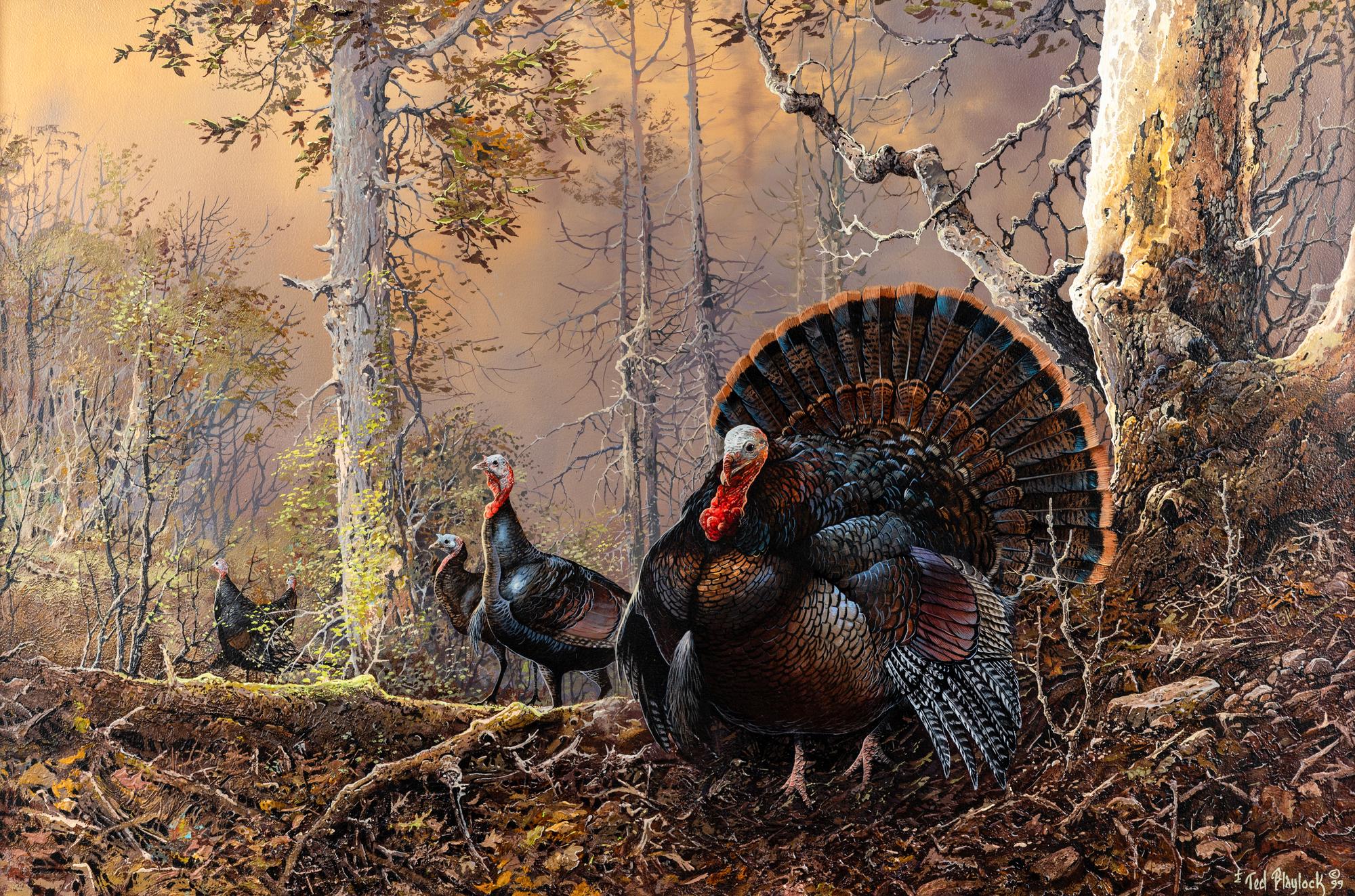 Strutting Gobbler