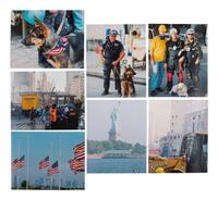 [20TH CENTURY]. Large collection of photographs documenting the aftermath of September 11, 2001.