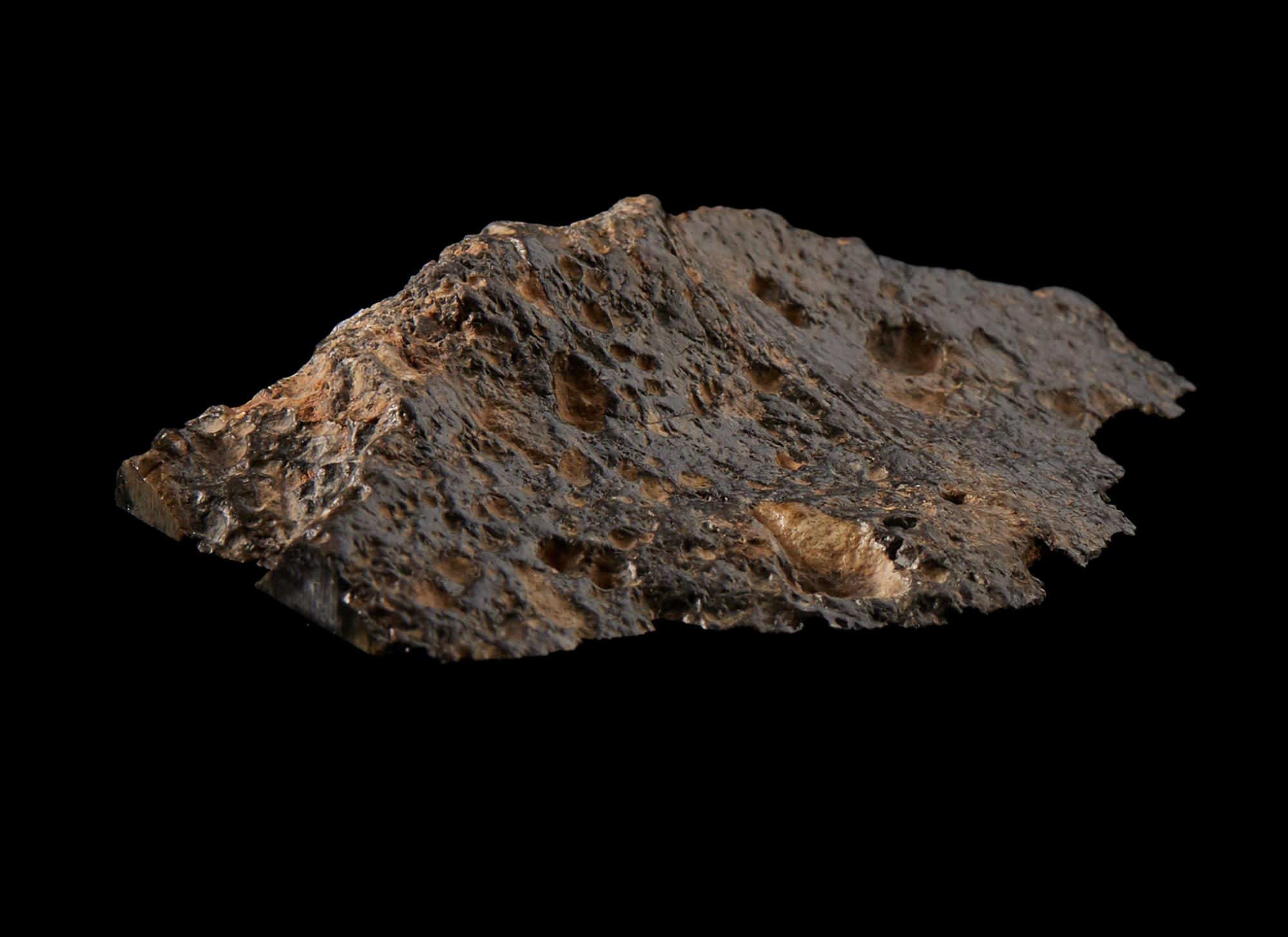 A Lunar Meteorite Slice (NWA 11303)