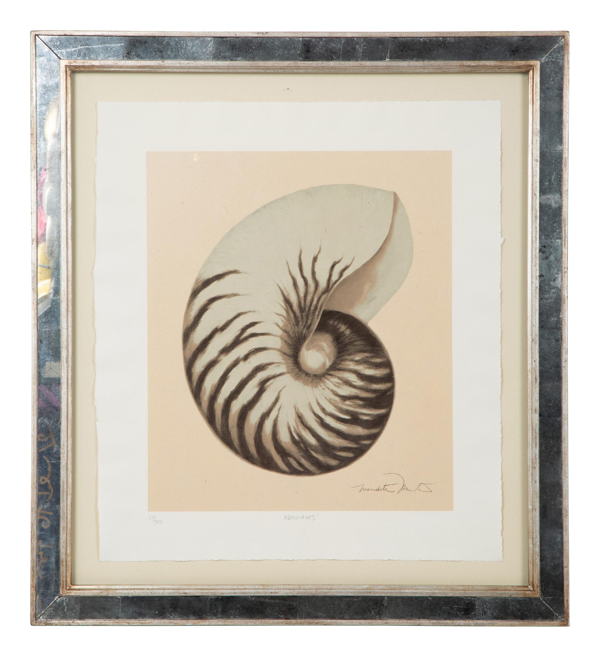 A Set of Four Decorative Nautilus Prints in Mirrored Frames — 20TH CENTURY