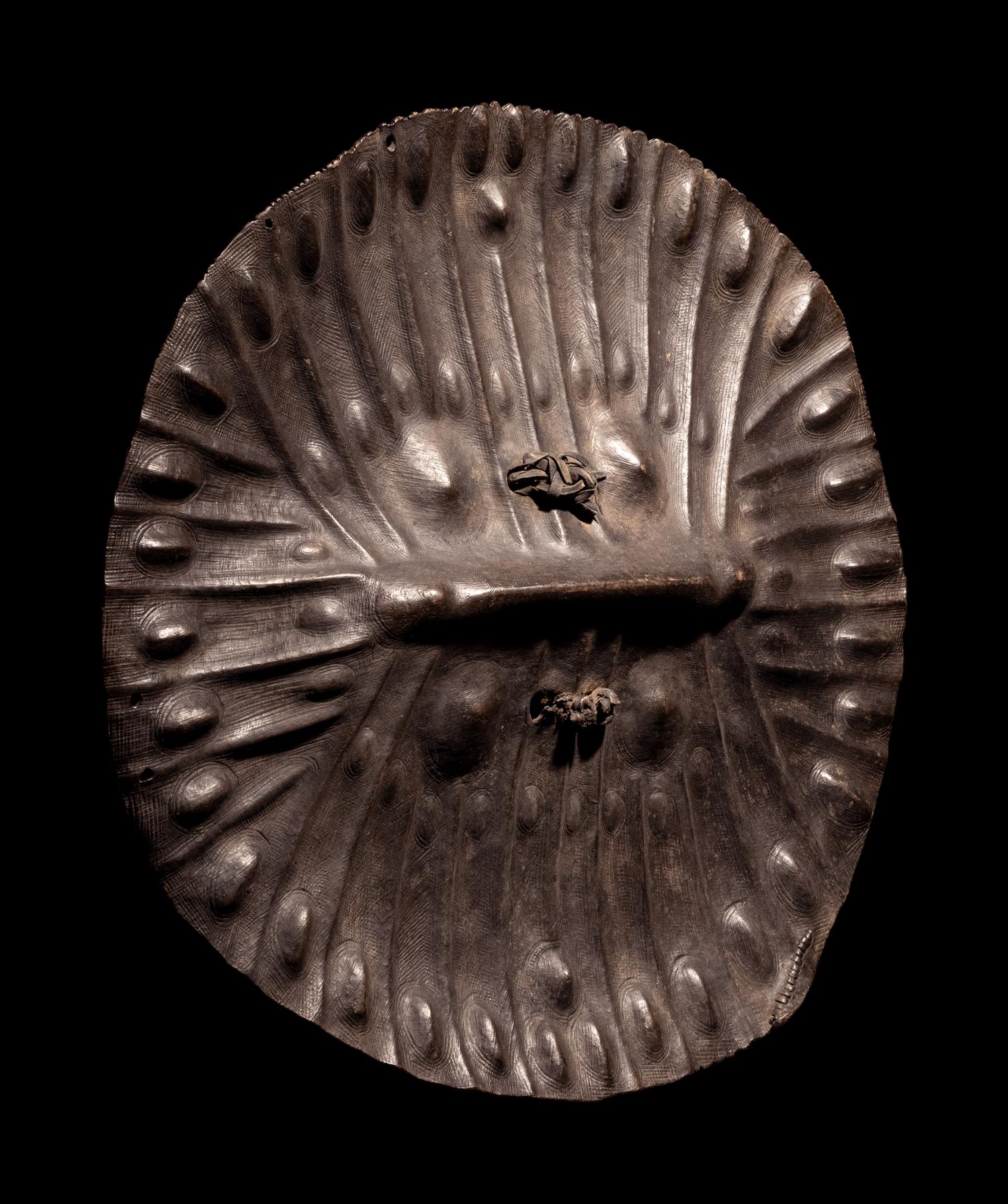 An Amarro Hide Shield