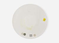 A Wedgwood "Man Diagram III" Bone China Plaque, 1976-7