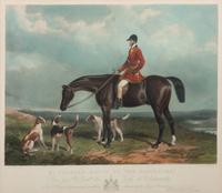 A Hand-Colored Engraving Depicting English Foxhounds