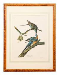 AUDUBON, John James (1785-1851).