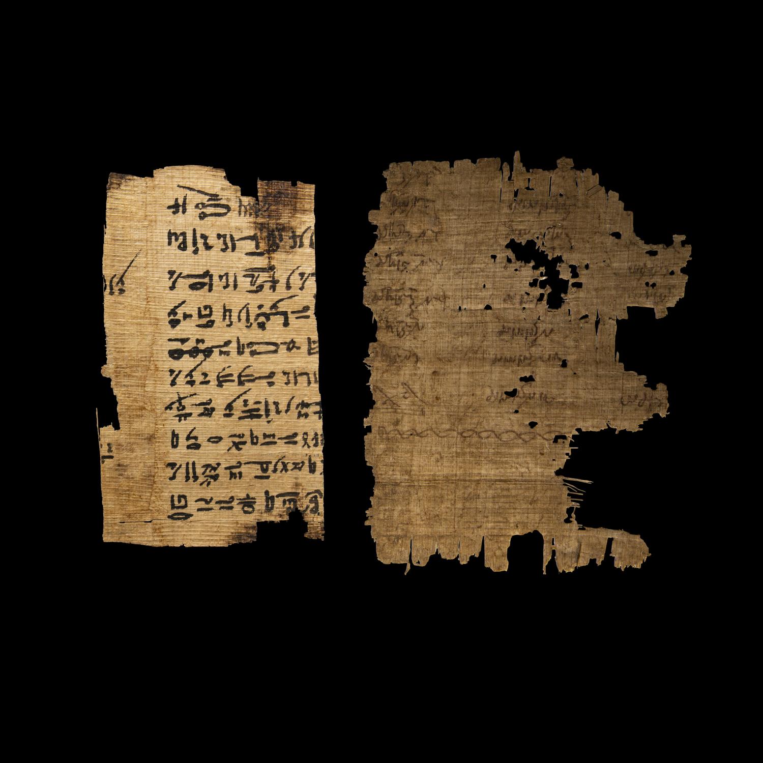 Two Coptic Papyri Fragments
