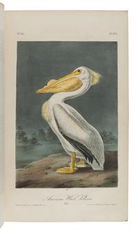 AUDUBON, John James (1785-1851). The Birds of America, from Drawings Made in the United States and their Territories . New York: J.J. Audubon; Philadelphia: J.B. Chevalier, [1839-] 1840-1844.