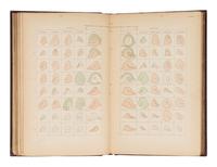 GALTON, Francis, Sir (1822-1911). Finger Prints. London and New York: Macmillan and Co., 1892.