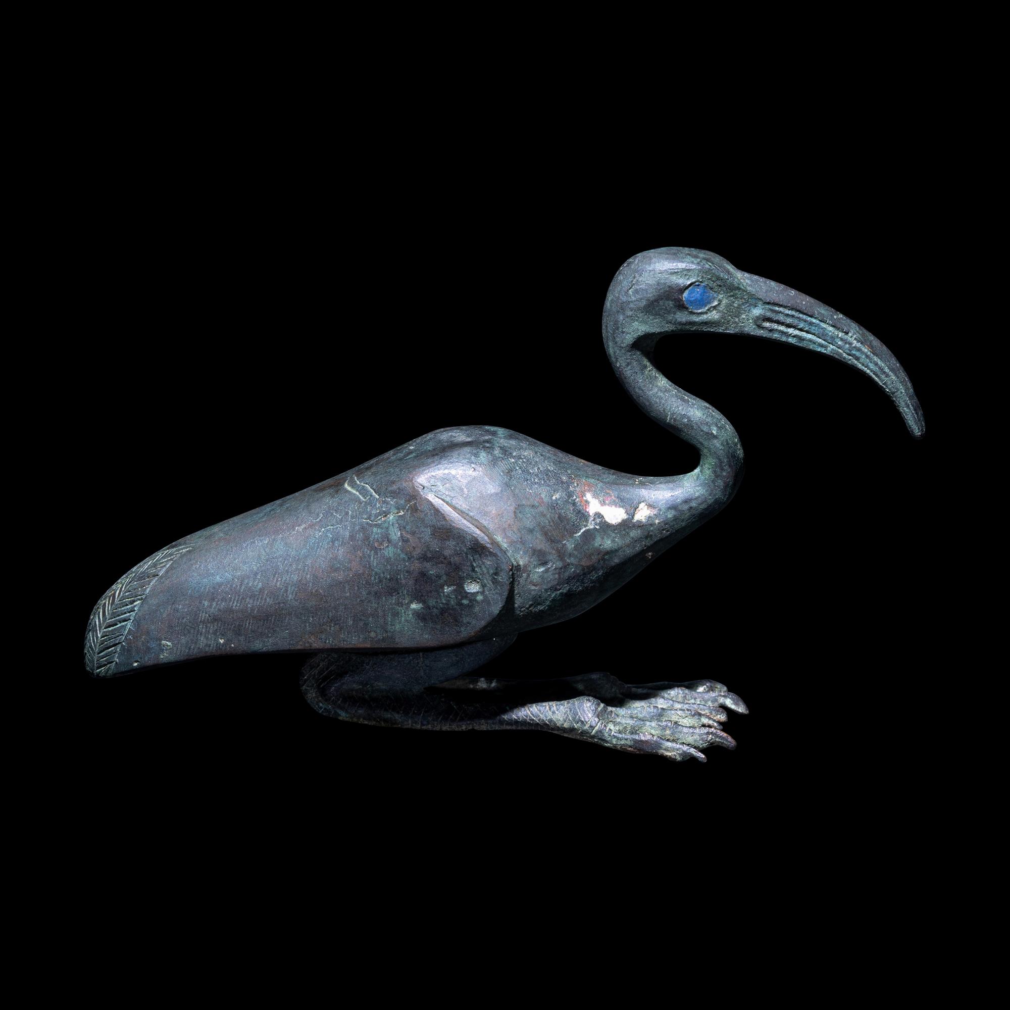 An Egyptian Bronze Ibis