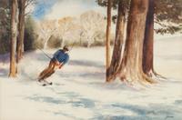 Skier