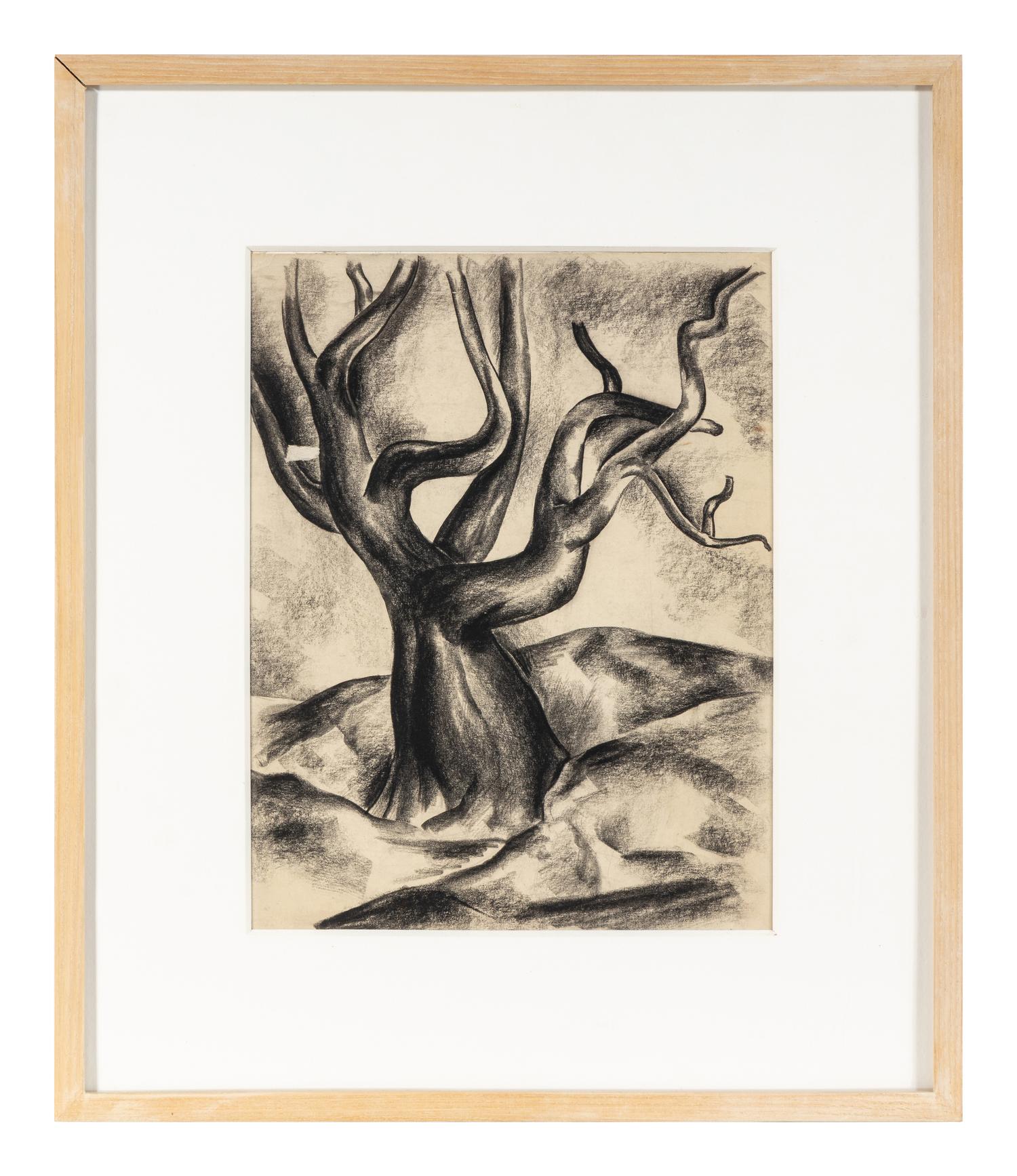 Gnarled Tree, c. 1930's