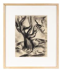 Gnarled Tree, c. 1930's
