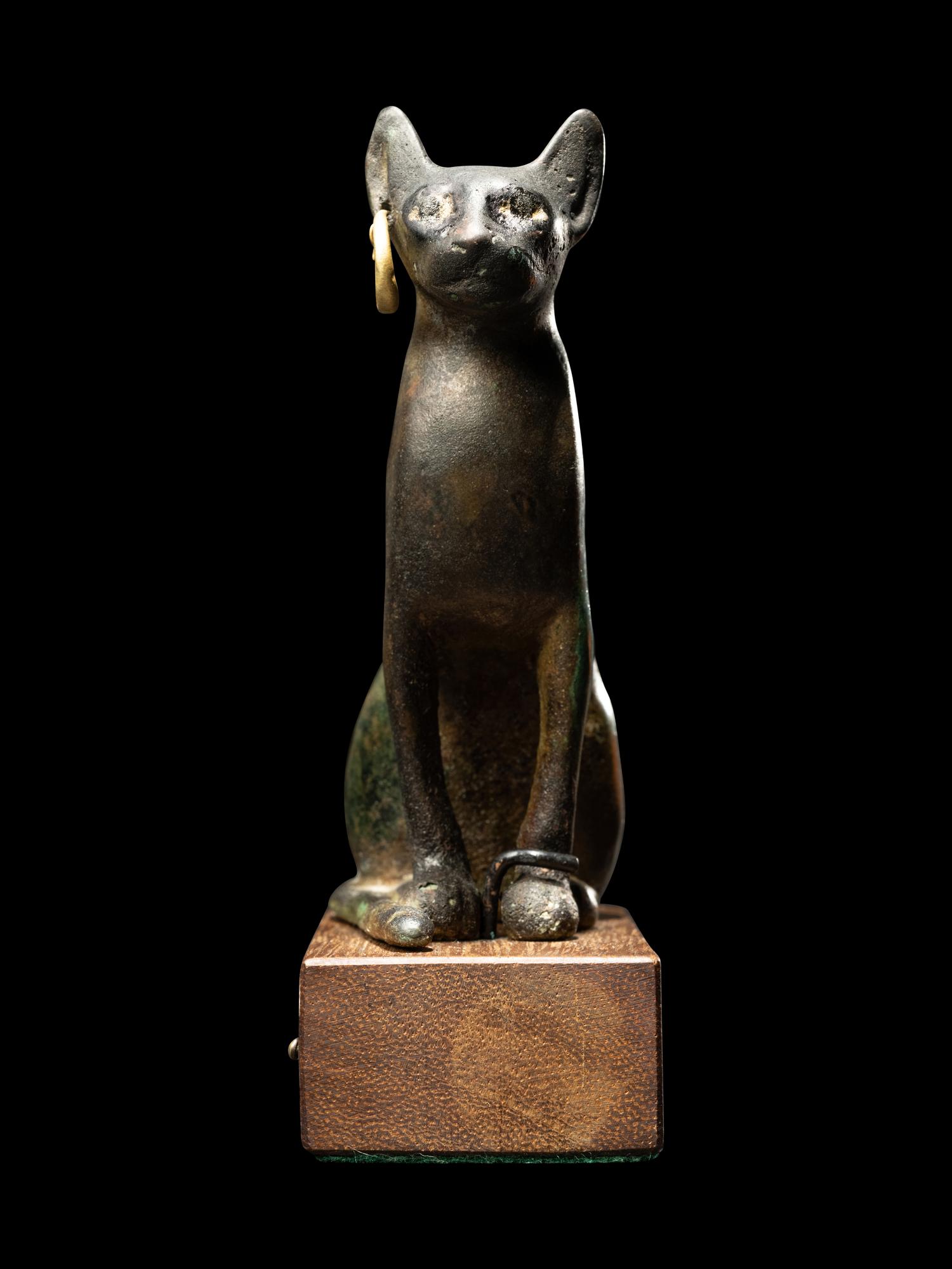 An Egyptian Bronze Cat